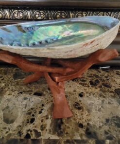 Natural Abalone (Pāua) Shell, with Stand,6-6.5 Inches,Supreme for Smudging,Cleansing Home,Meditation,Shell Crafts,Incense Holder,100% Natural, Sustainably Sourced by Ocean Shell Studios NZ 6"-6.5" 27 71f2ZtZNKCL