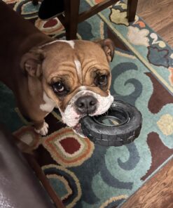 KONG Tires - Durable Dog Chew Toy - Durable Rubber Dog Toy & Treat Dispenser for Power Chewers - Tough Chew Toy for Fetch - Rubber Tire Chew Toy - Medium/Large Dogs Standard Packaging 29 71f35PzcQKL