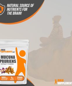 BULKSUPPLEMENTS.COM Mucuna Pruriens Extract - Herbal Supplements, Mucuna Pruriens Supplements, Mucuna Pruriens Powder - Vegan & Gluten Free, 500mg per Serving, 1kg (2.2 lbs) 2.2 Pound (Pack of 1) 10 71f3EJUlN7L 1