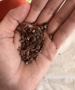 Viva Naturals Organic Cacao Nibs, 1 Lb - Certified Keto and Vegan Superfood, Perfect for Gluten Free Baking, Cacao Nib Smoothies and Healthy Snacks, Premium Criollo Beans, Non-GMO 1 Pound (Pack of 1) 36 71f4E0Z3TBL