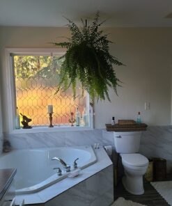 Gila RTK500 06008001427 Window Film Complete Installation Kit, 1-Pack 1 Pack 39 71f4vLvmaWL