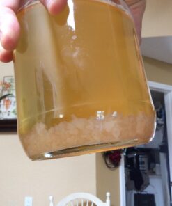 Cultures for Health Water Kefir Grains | DIY Fermented Probiotic Drink Powder for Stronger Gut Health | Heirloom Starter Makes Limitless Supply | Non-GMO Dairy Free Vegan Sparkling Water with Enzymes 0.19 Ounce (Pack of 1) 41 71f9NkY3wNL