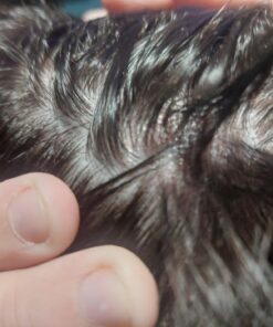 Nizoral Anti-Dandruff Shampoo with 1% Ketoconazole, Fresh Scent, 7 Fl Oz 44 71fAmDPP0oL