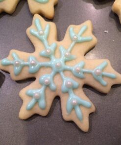 Wilton Disposable 16-Inch Decorating Bags, 12 Pack 16" 12 count 28 71fF5Nl92L