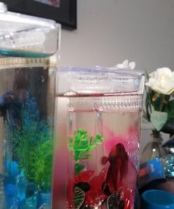 Aqueon Betta Falls 3 Section Aquarium Fish Tank With QuietFlow Power Filtration, Black 54 71fGAwXO2kL