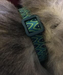 Petmate Aspen Pet Breakaway Fashion Collar, 3/8" x 8-12", Sub Geo Blue 3/8" x 8-12" 30 71fGmSuaMsL