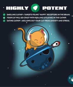 Our Pets Premium Catnip - 1.25 oz Jar of High Potency Catnip - 100% North American Grown 1.25 oz. 20 71fIL9yQv3L