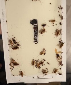 Catchmaster Mouse & Insect Super Glue Traps 30PK, Mouse Traps Indoor for Home, Extra Strength Sticky Pest Control Adhesive Tray for Catching Bugs, Rats & Rodents, Non Toxic Bulk Pre-Baited Glue Boards 44 71fIft gRML