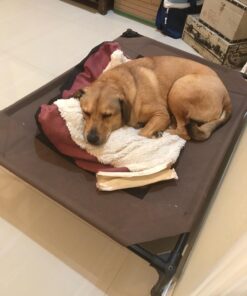 Armarkat Pet Bed Mat 28 by 22 by 5, M02HJH/MB-Medium, Ivory 28.0"L x 22.0"W x 5.0"Th 26 71fKUpRVJL 1