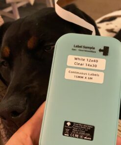 Phomemo D30 Label Maker Machine with Tape, Portable Bluetooth Printer, Small Smart Phone Handheld Sticker Mini Labeler Multiple Templates Font Icon Easy to Use Inkless Rechargeable F Office Home Green 55 71fLOImw0hL