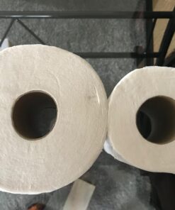 Green Forest Premium 100% Recycled Bathroom Tissue, 352 Sheets, 12 Rolls (Pack of 1) 11 71fNDfLfSqL