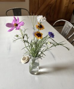 Eden Brothers Northeast Wildflower Mixed Seeds for Planting, 1/4 lb, 120,000+ Seeds with Cosmos, Candytuft, Shasta Daisy | Attracts Pollinators, Plant in Spring or Fall, Zones 3, 4, 5, 6, 7, 8, 9, 10 1/4 Pound 37 71fOson8lGL