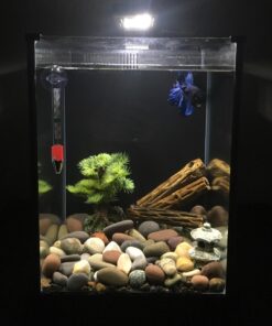 Fluval SPEC Freshwater Aquarium Kit, Aquarium with LED Lighting and 3-Stage Filtration, 2.6 Gallon, Black, Large Breeds 2.6 Gal. 71 71fPLdEneL