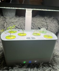 AeroGarden Gourmet Herb Seed Pod Kit - Herb Seeds for AeroGarden Indoor Garden, 6-Pod 28 71fPRuIHML