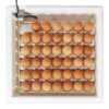 Farm Innovators 4250 Heated Digital Circulated Air Incubator (encubadora para huevos), with Automatic Egg Turner for Improved Egg Hatching, White Digital Circulated Air+Plastic Shell+Turner+Candler 7 71fR3qKVxL