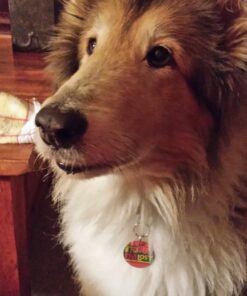 Checkups- Dental Dog Treats, 24ct 48 oz. for Dogs 20+ pounds Medium (Pack of 1) 22 71fTwJI3xGL