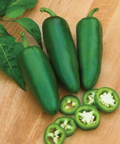 Burpee Big Guy Hot Pepper Seeds 30 seeds 8 71fVp2M3sLL