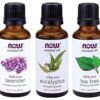 3-Pack Variety of Now Essential Oils: Tea Tree, Eucalyptus, Lavender 34 71fWaKRAiAL