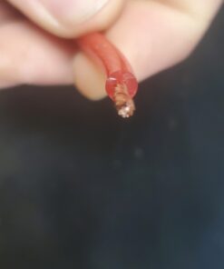 10 Pack - EPAuto 12V-DC ATC/ATO 12 AWG In-Line Fuse Holder for 30A fuses 21 71fYZ7huqLL