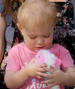 Pomsies Patches Plush Interactive Toys, White/Pink/Mint, Model:01883 17 71fZ1JLTBYL