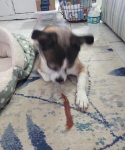 Kingdom Pets Duck Breast Jerky, Premium Treats for Dogs, 40 oz. Bag 33 71fZGD8ejuL