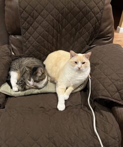 K&H Pet Products Heated Thermo-Kitty Mat, Indoor Heated Cat Bed, Pet Heat Pad for Indoor Cats and Small Dogs, Cat Heating Pad, Electric Thermal Warming Cat Bed Mat, Sage/Tan 12.5 X 25 Inches Pet Bed 39 71faIBSs2L