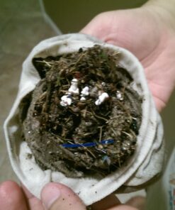 Pool Systems USA 5 Piece Filter Savers, Skimmer Socks 1 18 71fbkg7X8mL