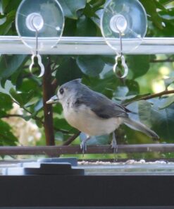 Tranquil Outdoors Large Acrylic Window Bird Feeder: Strong Removable Suction Cup Mounted Outdoor Bird House Feeder, Clear Birdfeeders for Large & Small Birds. Best See Thru Feeder for Bird Watching 59 71fcFGw4XZL