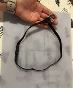 Starmark Pro-Training Dog Collar Large 43 71fcWKrj81L