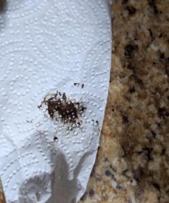 Americolor 4.5 Oz Chocolate Brown Soft Gel Paste 17 71fcpv4rB1L