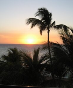 Canon PG-240XL/CL-241XL with Photo Paper 50 Sheets Compatible to MG2120, MG3120, MG4120, MX512, MX432, MX372, MX522, MX452, MX392, MG2220, MG3220, MG4220, MG3520, MG3620, TS5120 OEM 21 71fdLhxzOrL