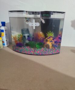 GloFish Aquarium Fish Tank Kits, Includes Fish Tank Decorations and LED Lighting, Tetra Filter and Water Conditioner 5-gallon crescent kit 36 71fhkJuZPWL
