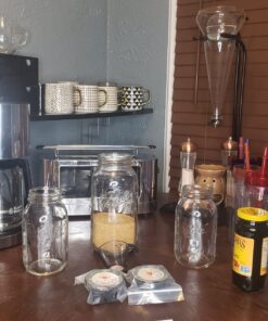 QUARTER POUND Original Water Kefir Grains Exclusively from Florida Sun Kefir with 12 Brewing Bags Mild Sweetness to Tart 0.25 Ounce (Pack of 4) 27 71fiGoV8EbL