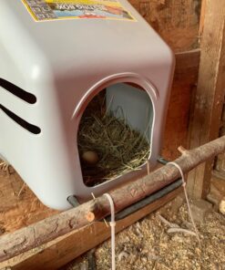 Little Giant® Plastic Chicken Nesting Box | Chicken Nest Box for Laying Hens | Chicken Bed | Egg Laying Chicken Box | Chicken Perch | Nesting Box for Chicken Coops 31 71fjdRh8nvL