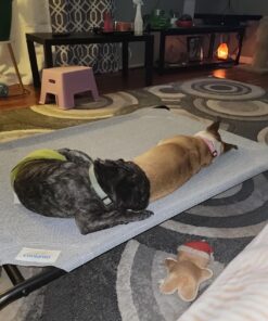 COOLAROO The Original Cooling Elevated Dog Bed, Indoor and Outdoor, Large, Grey 51.0"L x 31.5"W x 8.0"Th 30 71fmHYSUxL