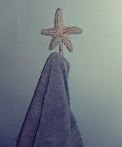 Park Designs Starfish Single Hook 32 71fpulvnbFL