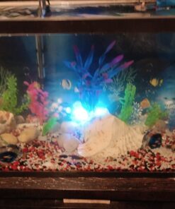 API STRESS COAT Aquarium Water Conditioner 16-Ounce Bottle 16 oz Aquarium Treatment 33 71frNhB8LaL