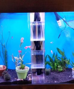 CaribSea Eco-Complete 20-Pound Planted Aquarium, Black 20 POUNDS 34 71frnYm9yVL