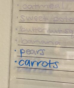 EXPO Vis-a-Vis Wet Erase Markers, Fine Point, Assorted Colors, 8 Count 8 Count (Pack of 1) 31 71fse4roffL