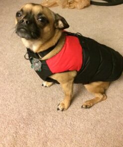 Gooby Padded Vest Dog Jacket - Red, Medium - Warm Zip Up Dog Vest Fleece Jacket with Dual D Ring Leash - Winter Water Resistant Small Dog Sweater - Dog Clothes for Small Dogs Boy and Medium Dogs Medium chest (18.25") 1 35 71ftz5NXmtL