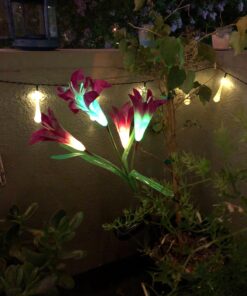 TONULAX Solar Garden Lights Outdoor - New Upgraded, Multi-Color Changing Lily Solar Lights for Patio,Yard Decoration, Bigger Flower and Wider Solar Panel (2 Pack,Purple and Red) 2 Pack 40 71fuuR23rcL