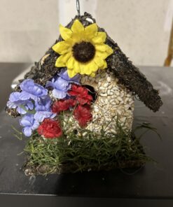 Edible Birdhouses | Reseedable Wooden Birdhouse Covered w/Birdseed | Squirrel Proof Bird Feeder | Made in The USA (SD) Short Dark Roof 27 71fxRvlVajL