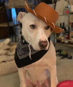 Funny Party Hats Cowboy Hat for Kids- Western Hat - Kids Cowboy Hat -Sheriff Hat - Children's Cowboy Costume Dress Up Brown Cowboy Hat & Navy Bandanna 19 71fxolObr4L 2