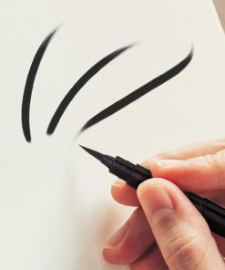 Pentel Arts Pocket Brush Pen, Includes 2 Black Ink Refills (GFKP3BPA) Pocket Brush Pen Original 24 71fxugyAVL