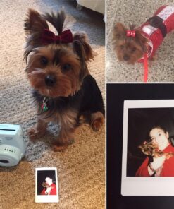 Fujifilm INSTAX Mini 8 Instant Camera (Blue) (Discontinued by Manufacturer) Blue Base 40 71fyF4N815L