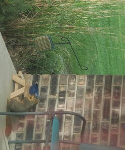 Audubon Park 12243 Critter Crunch Wild Bird and Critter Food, 15-Pounds 38 71g C4HsVL