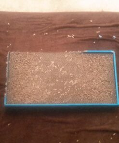 Catit Cat Scratcher, Wide Cat Board 35 71g0m5ULnL