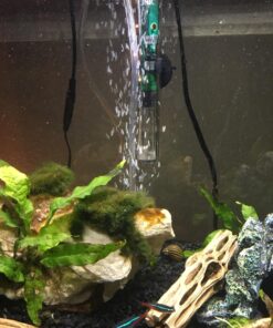 Uniclife Aquarium Air Pump Dual Outlet Fish Tank Aerator with Accessories for Up to 100 Gallon Tank 5 - 30 Gallons 42 71g2DjkcctL