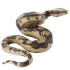 LUOEM Halloween Realistic Prank Snake, Realistic Fake Snakes, Halloween Prank Props, Python Scary Snake Toy, Rubber Snake Figure 8 71g2WgrGWL