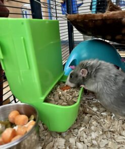 Kaytee Gravity Bin Feeder With Bracket Assorted 27 71g2mDFQqkL